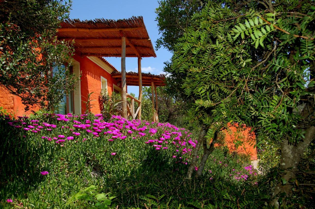Hotel Aldiola Country Resort Sant'Antonio di Gallura Exterior photo